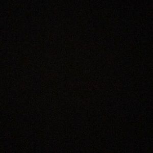 Meet your Posher, Suzanne